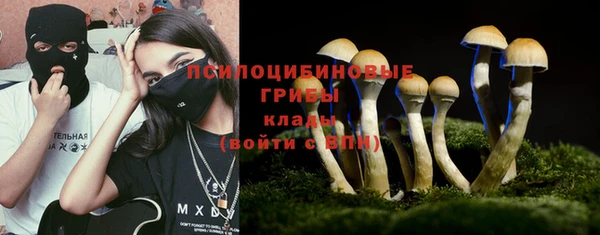 герыч Алексин