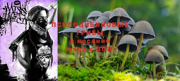 герыч Алексин