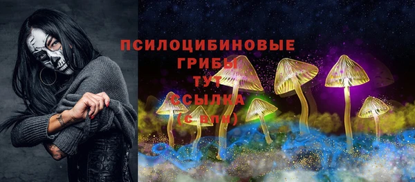 гидра Алзамай